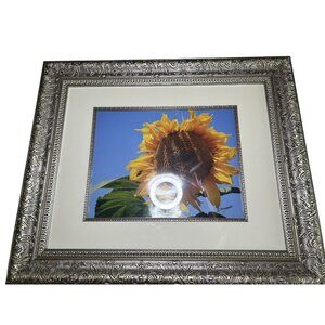 Framed Sunflower Photograph Signed By Artist 24.75"x20.75" Ornate Silver Frame